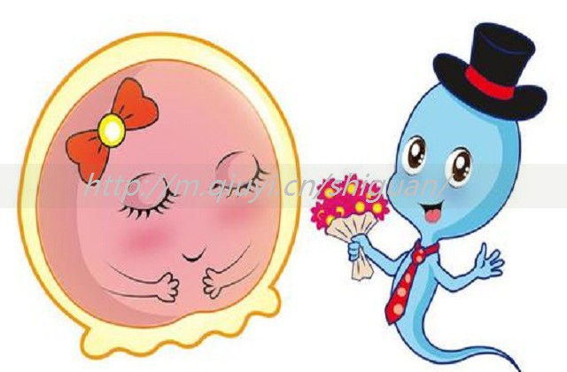 ϲԹӤGLӽṹа񵥽