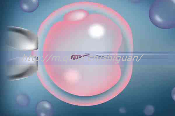2023ͨԹܻк