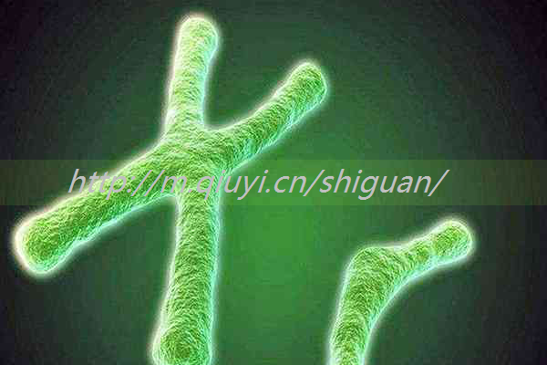 ԹӤ˽ӻЩ